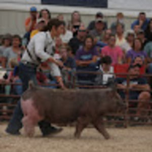 Meet your Posher, Chloe